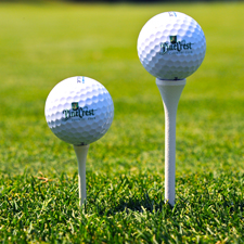 Golf Balls on Pinecrest Country Club golf course