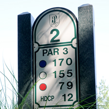 Pinecrest Golf Hole 2 Par 3