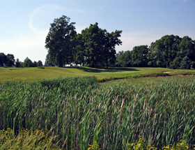 Pinecrest Country Club Hole 11