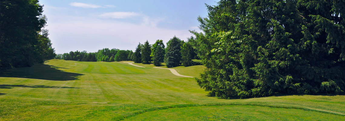 Accessibility Statement